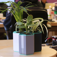 Capture d’écran 2017-10-07 à 18.55.01.png Multi-Color Self-Watering Planter